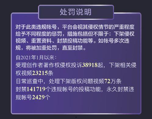 视频侵权怎么处理,法律途径与维权指南