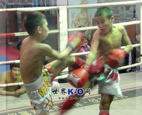 泰拳小孩视频,传承与激情的碰撞