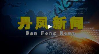 丹凤县新闻视频,聚焦发展成果，展现魅力风采