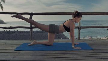 熊猫瑜伽视频,萌态可掬的动物瑜伽教程