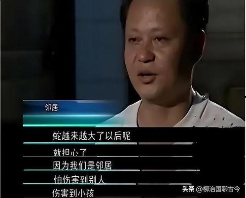 黄开宁视频,揭秘成功背后的故事与智慧