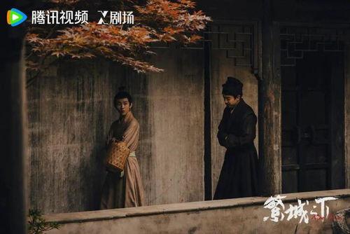 繁城视频,揭秘繁华都市背后的故事